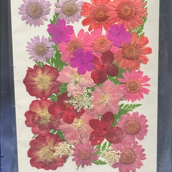 Pressed Floral Art Card — Mixed Pink & Red Bouquet - Picture 2 of 2